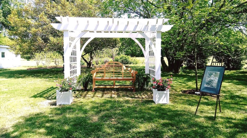 Pergola and bench in the garden.