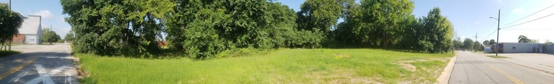 House Behind the Cedars: looking west from C Street, at or about the boundary line between the upper two lots.