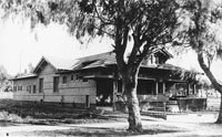 Building, Plant, Tree, House