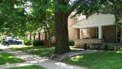 Plant, Building, Window, Tree