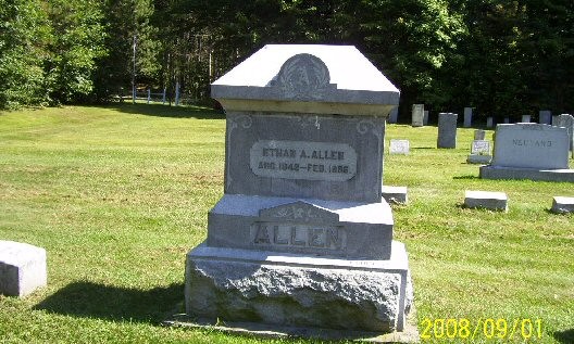 Plant, Cemetery, Tree, Grave