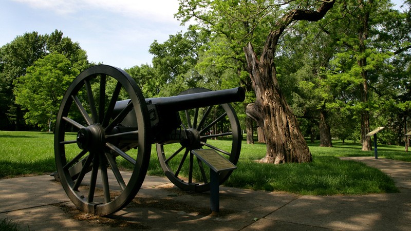 Plant, Cannon, Wheel, Sky