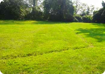 Site of Fort Laurens--modern day