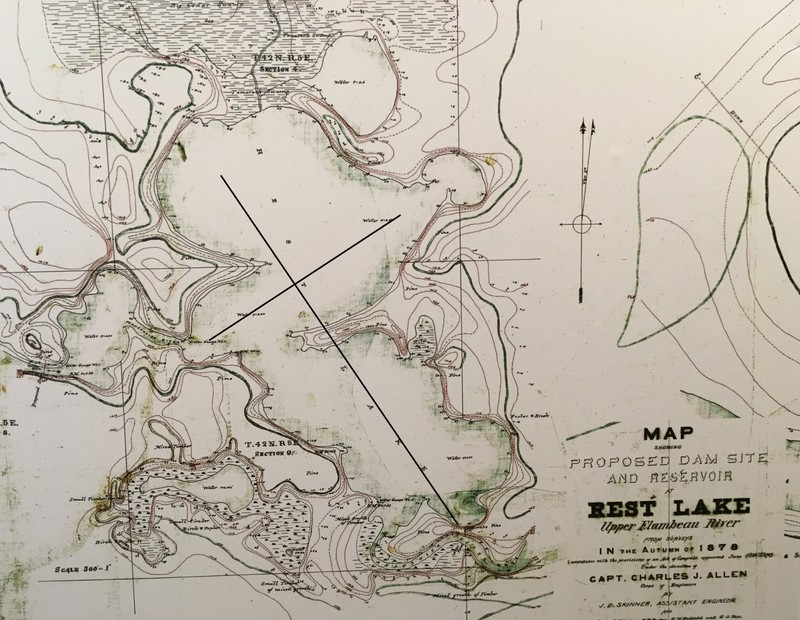 Map, World, Organism, Atlas