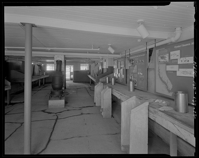 A 1968 photo of one of the shucking rooms. Notice the shucking stands along the shucking table on the right.