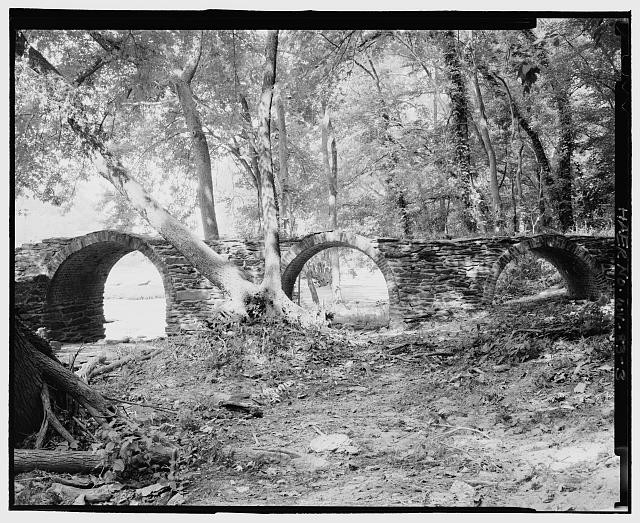 Natural landscape, Black-and-white, Wood, Style