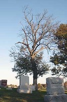 Spring Hill Cemetery is the oldest and largest cemetery in Cabell County