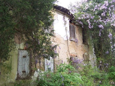 Wilson House in 2013