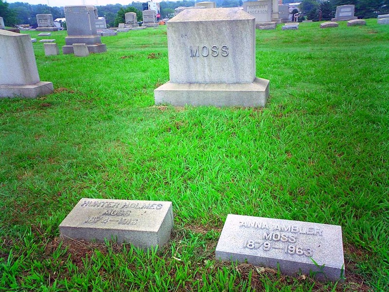 Plant, Photograph, Cemetery, Nature