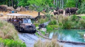 Kilimanjaro Safari Ride