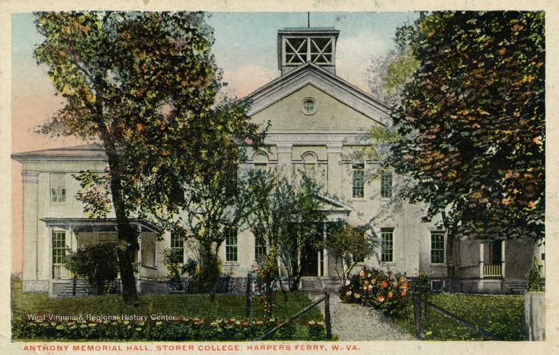 Plant, Building, Property, Window