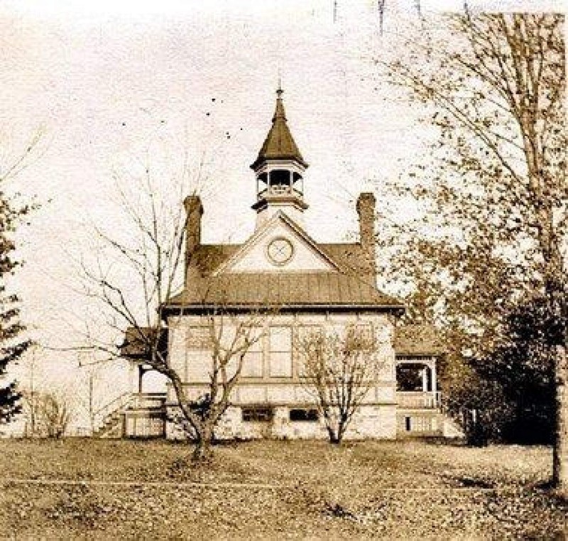 Building, Tree, Plant, Branch