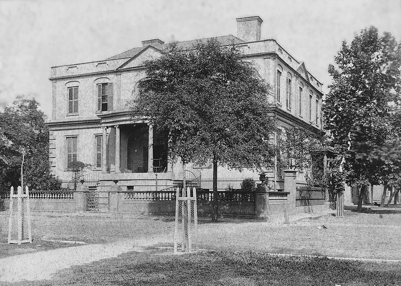 Building, Property, Window, Plant