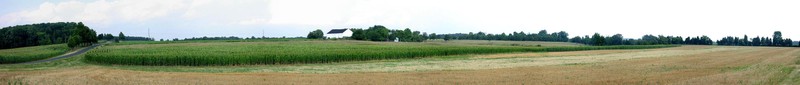 View from Rummel Farm today