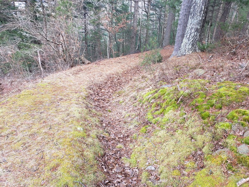 Remains of the trenches