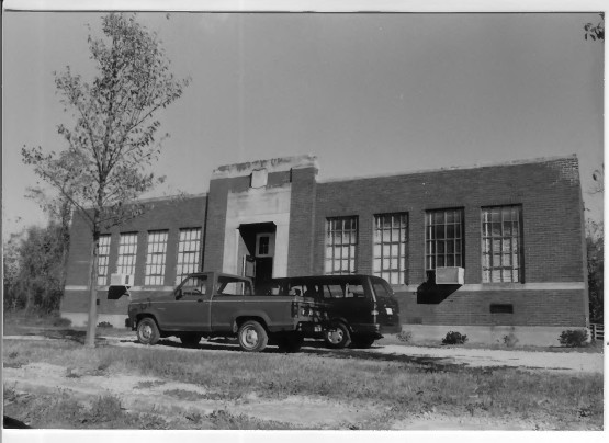 Wheel, Tire, Vehicle, Plant