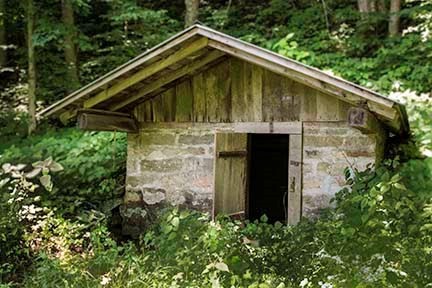 Plant, Natural landscape, Building, Wood