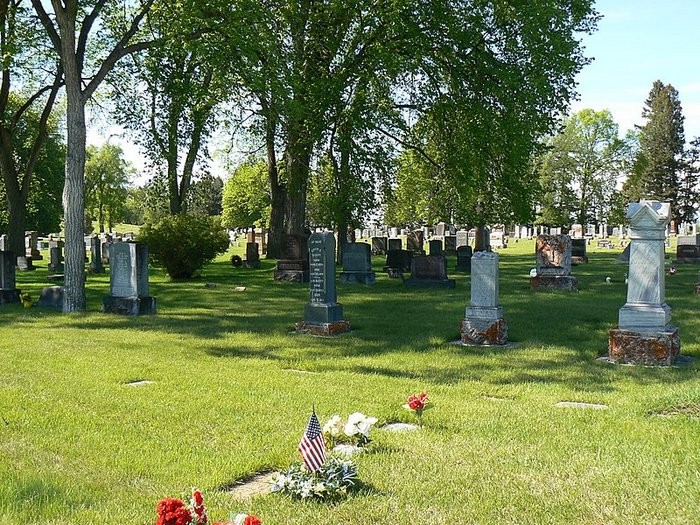 Grass, Headstone, Woody plant, Cemetery