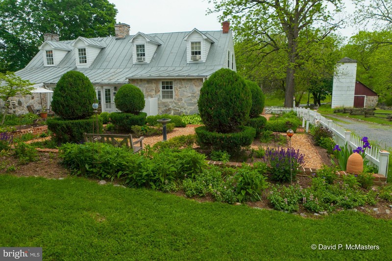 Grass, Plant, Shrub, Window