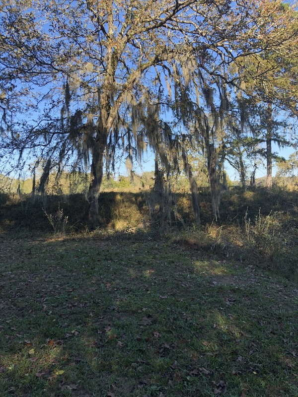 Backside of Star Fort earthworks