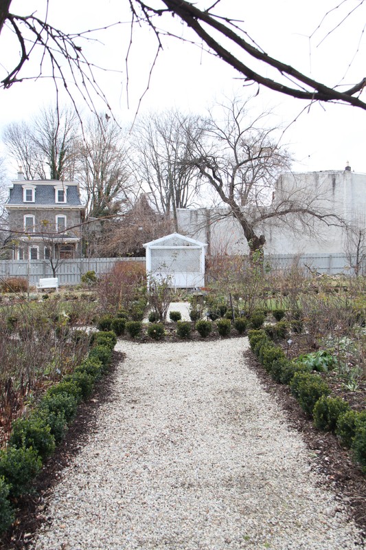 The garden with the freshly planted Little Missy boxwoods, installed in 2019