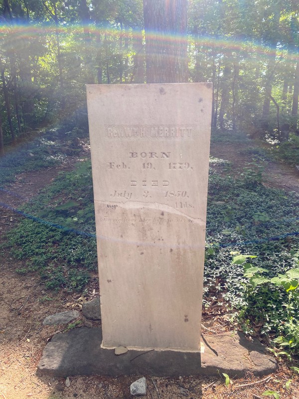 Plant, Grass, Cemetery, Headstone