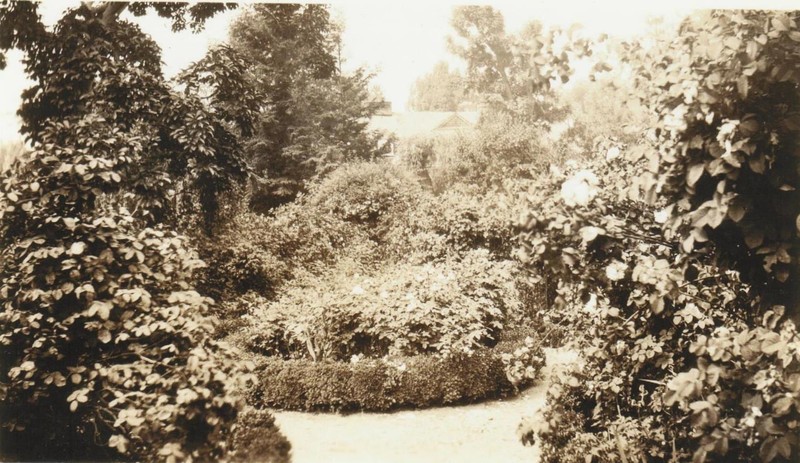 A 1915 photo of the central medallion in the garden, looking quite overgrown.