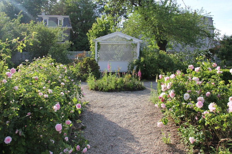 The garden in bloom facing the summerhouse. 