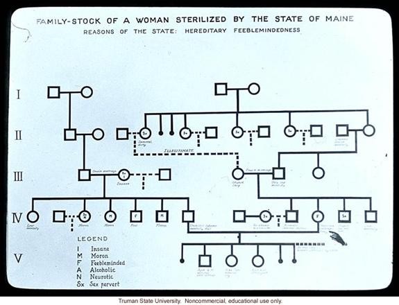 Rectangle, Font, Parallel, Pattern