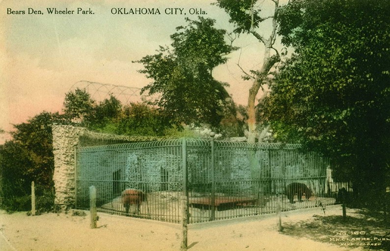 Botany, Tree, Plant, Fence