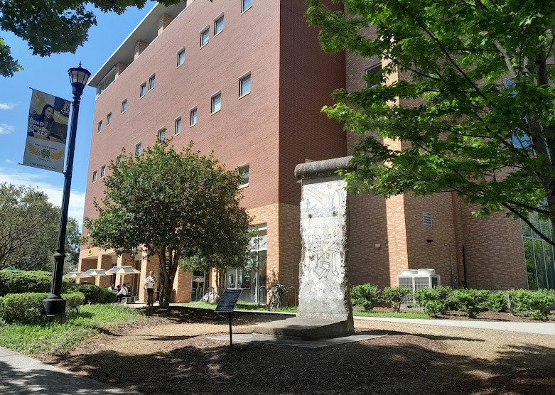 Plant, Building, Window, Tree