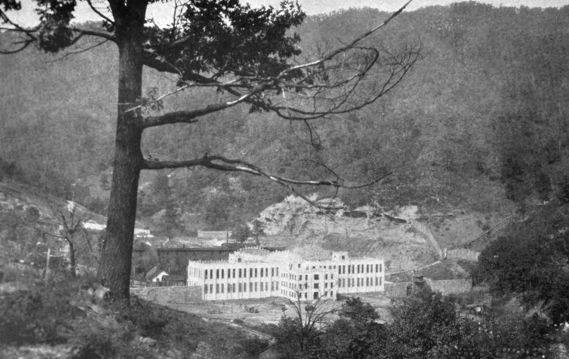 Plant, Building, Black, Tree