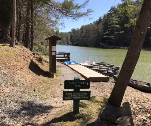 Seneca State Forest offers a plethora of trails for visitors to tackle