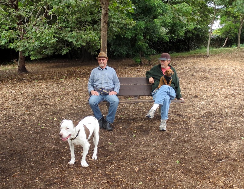 The Ohlone Dog Park in Ohlone Park (previously the "People's Park Annex")