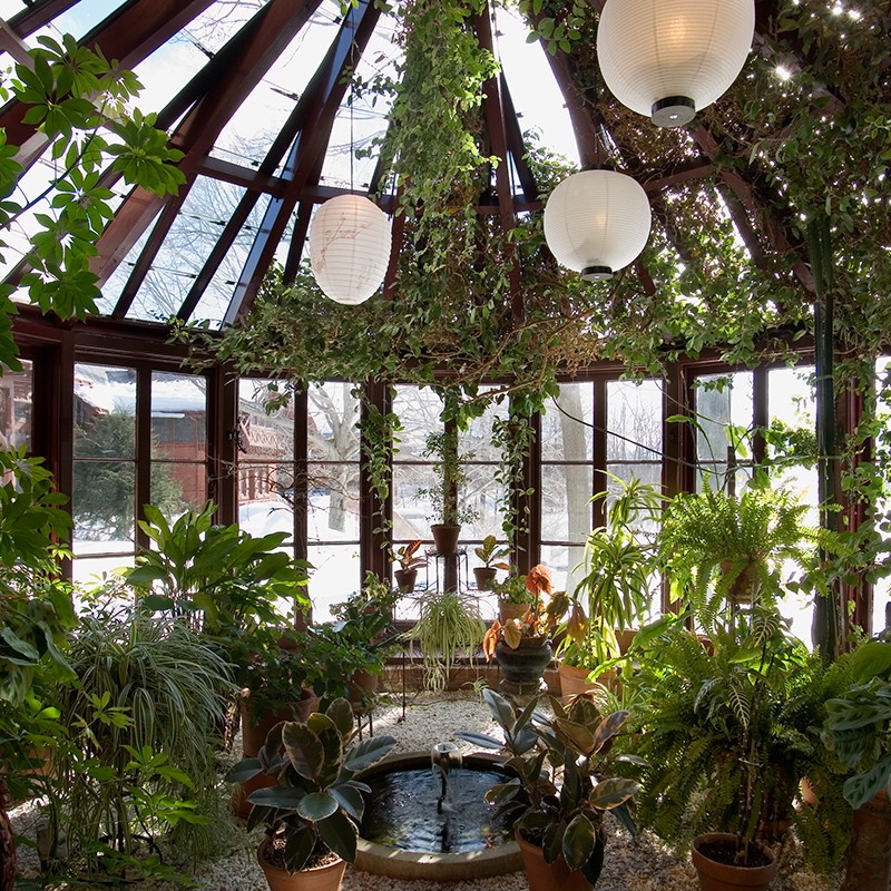 The Conservatory: Referenced as "The Jungle" by the family, housed and abundance of plants and a fountain