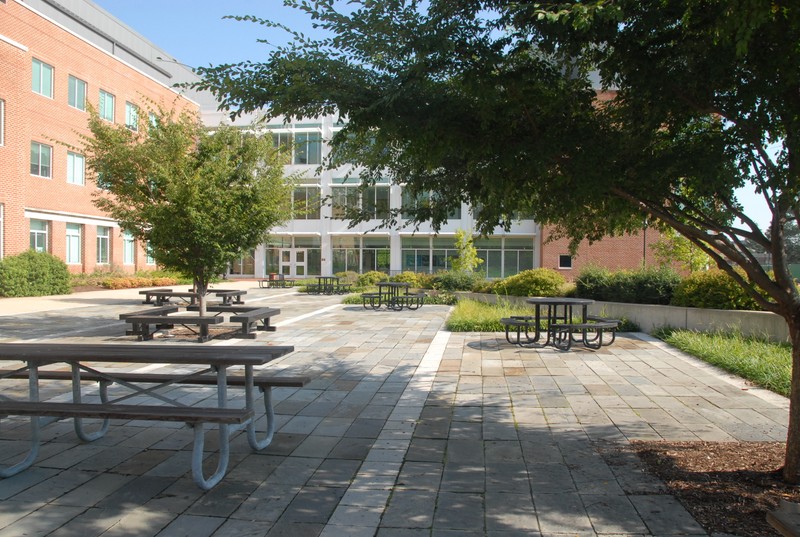 Henson Hall's Courtyard, 2009