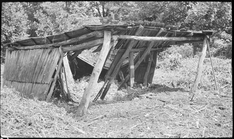 Wood, Monochrome photography, Monochrome, Black-and-white