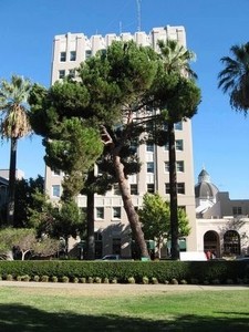 Sky, Plant, Property, Building