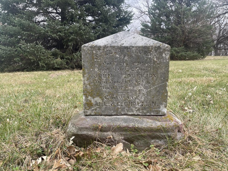 Plant, Tree, Leaf, Cemetery