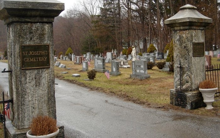 Plant, Cemetery, Headstone, Nature