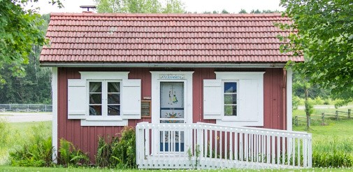 Window, Property, Building, Plant