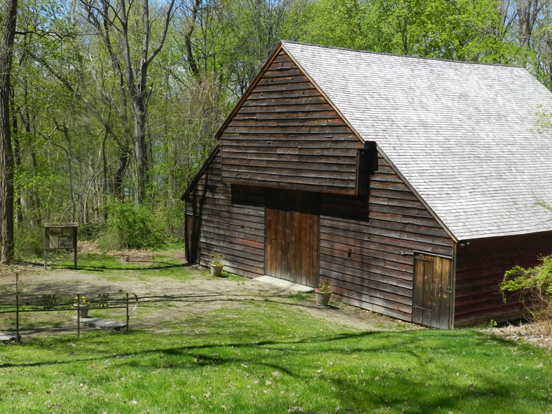 Plant, Building, Wood, Natural landscape