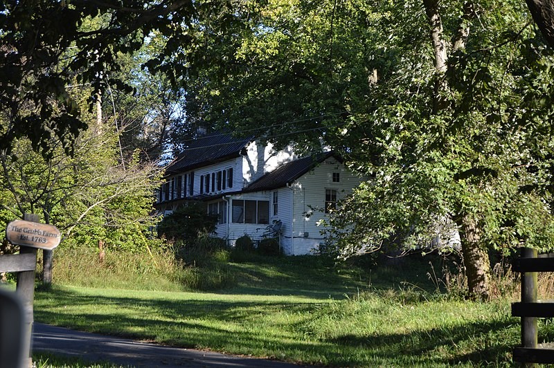 Plant, Building, Window, Natural landscape