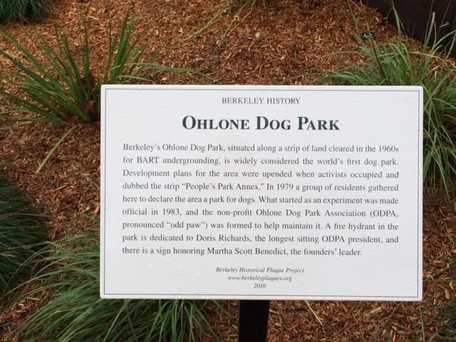 After activists save the parks in downtown Berkeley, the Ohlone Dog Park is created by residents in 1979 within Ohlone Park (previously the "People's Park Annex")