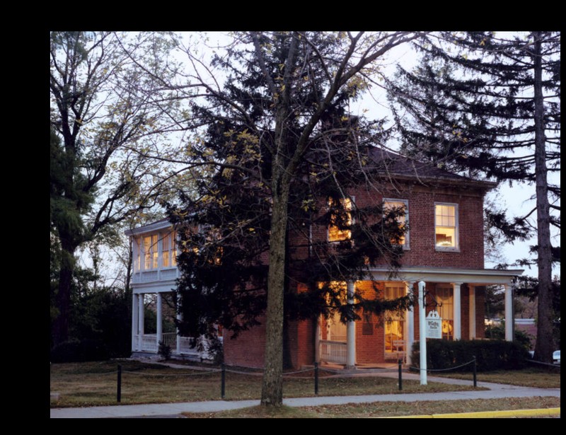 Plant, Building, Property, Window
