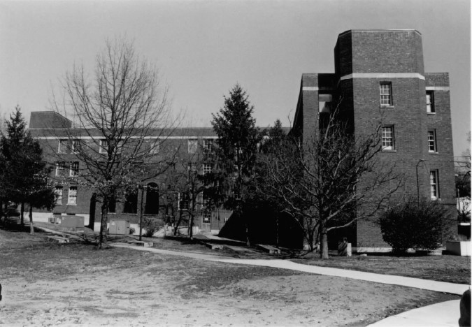 Building, Plant, Tree, Black-and-white