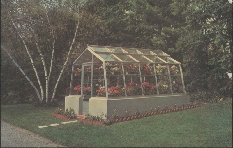 Plant, Tree, Shade, Gazebo