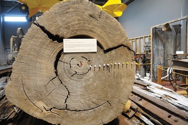 Cypress lumbering was Louisiana’s first prominent manufacturing industry. Credit: Louisiana State Museum