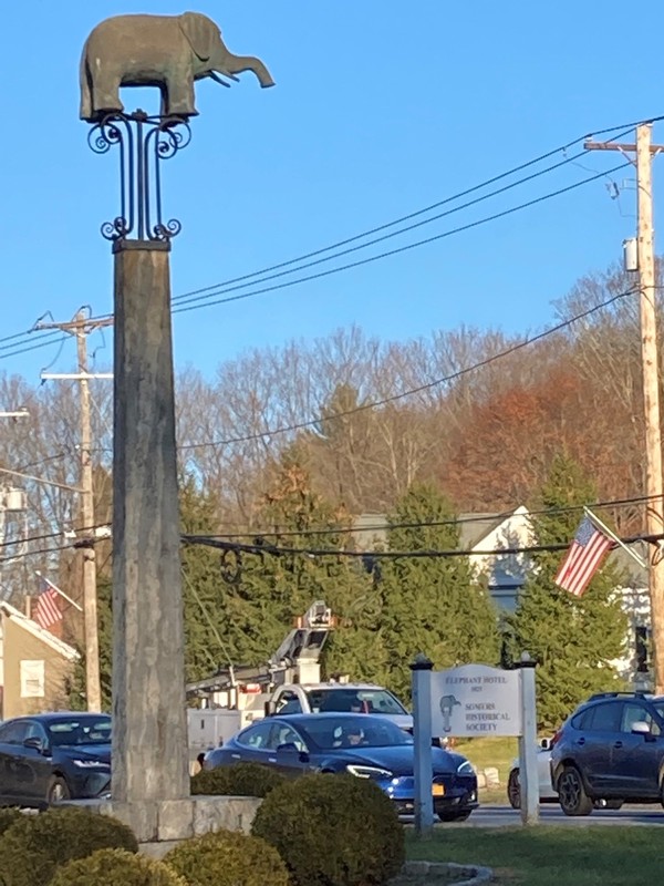 Sky, Plant, Car, Vehicle