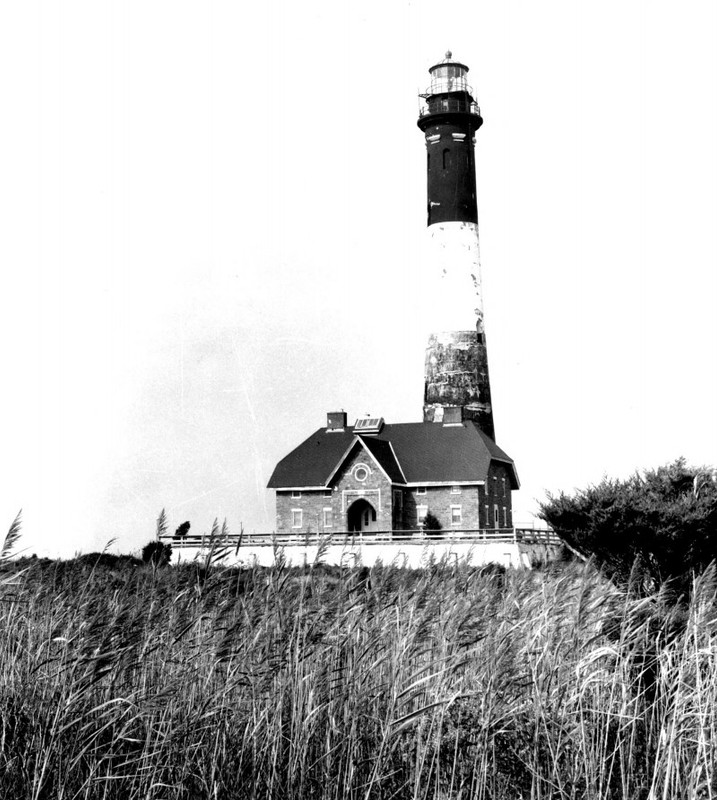 Lighthouse, Plant, Building, Sky